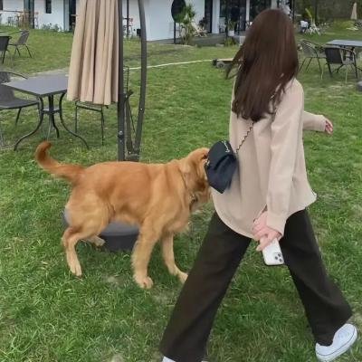 霓裳魅影